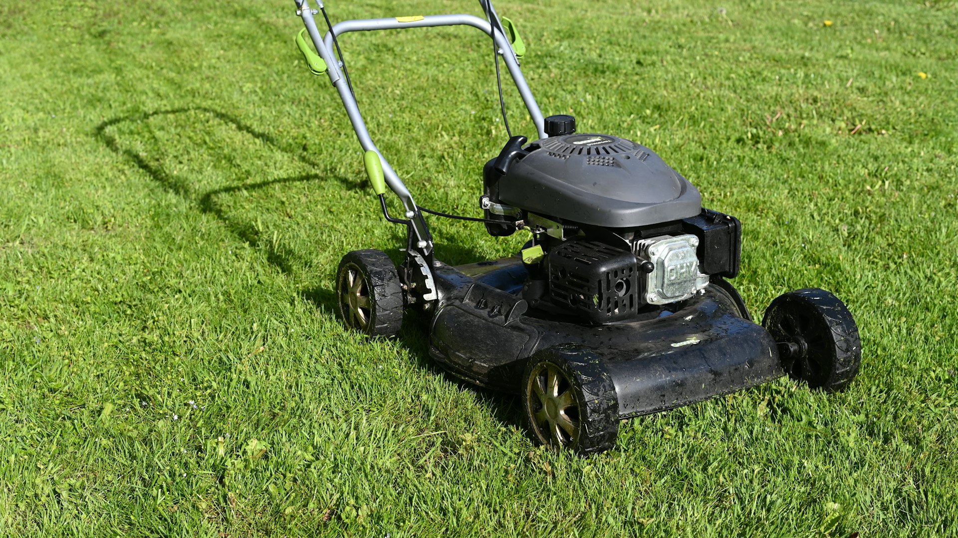 allservice varberg, alltjänst, trädgårdsskötsel